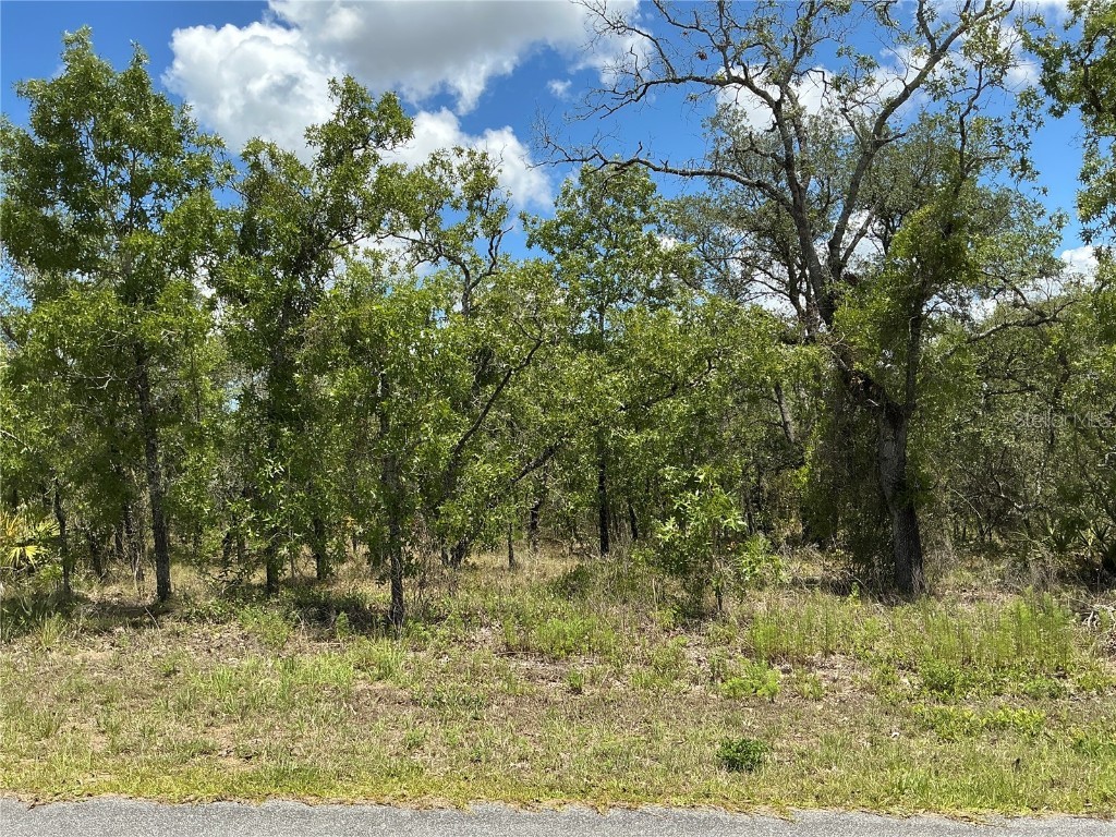 13022 Jaywalk Road Weeki Wachee FL 34614 OM704398 image1