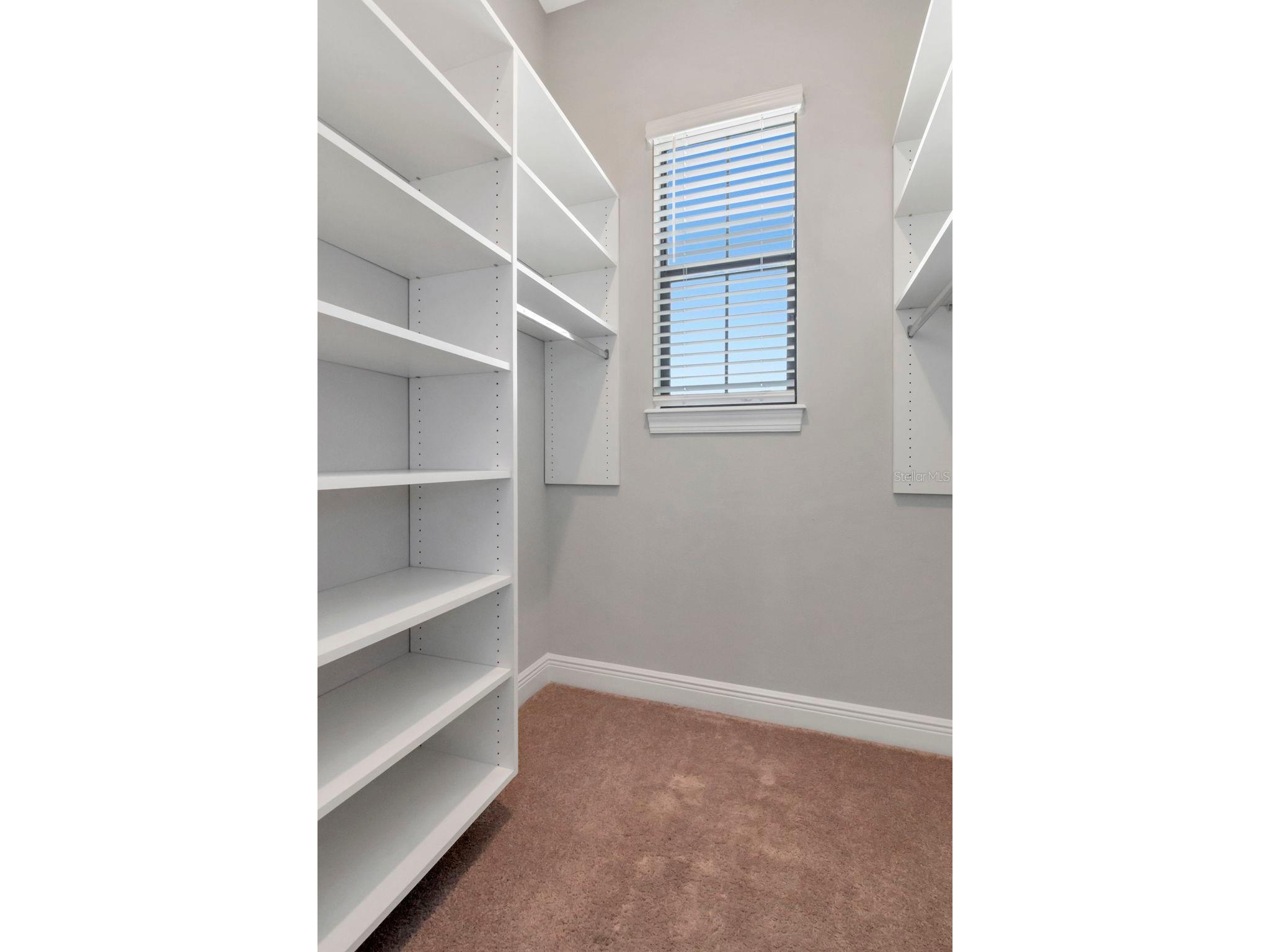 13022 Sanctuary Village Lane Tampa FL 33624 TB8476787 image45