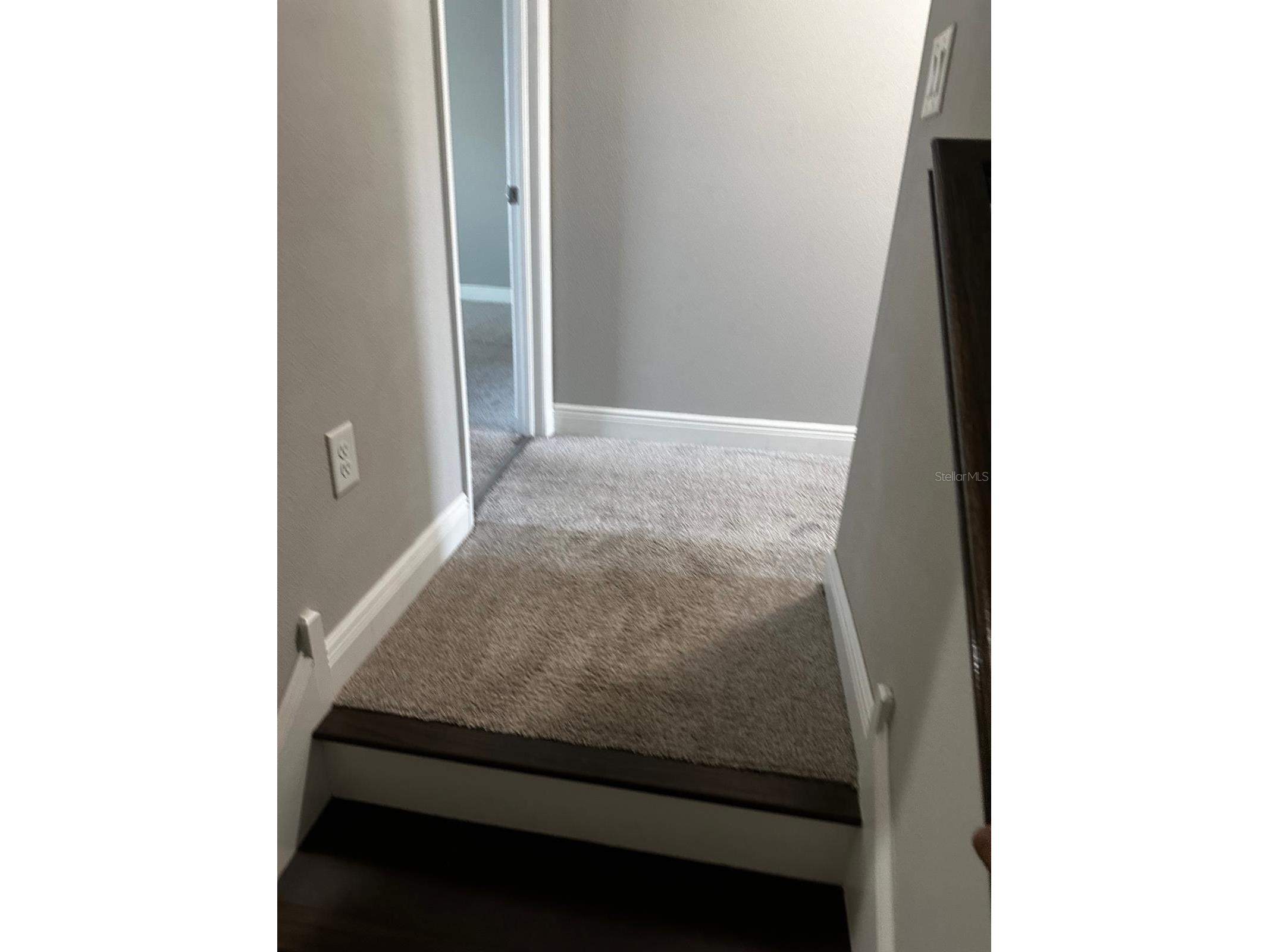 13023 Batten Lane Odessa FL 33556 TB8513830 image22