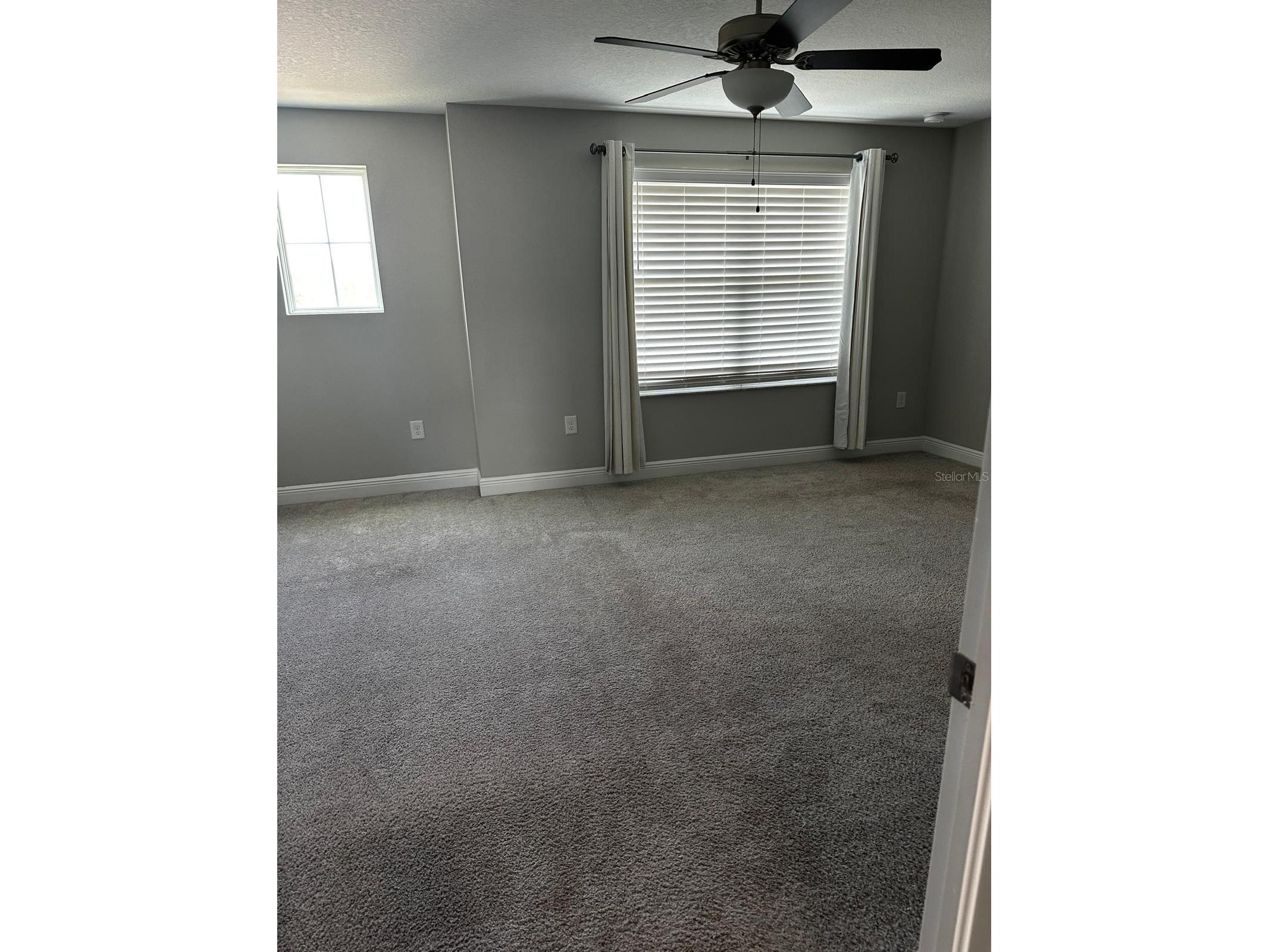 13023 Batten Lane Odessa FL 33556 TB8513830 image24