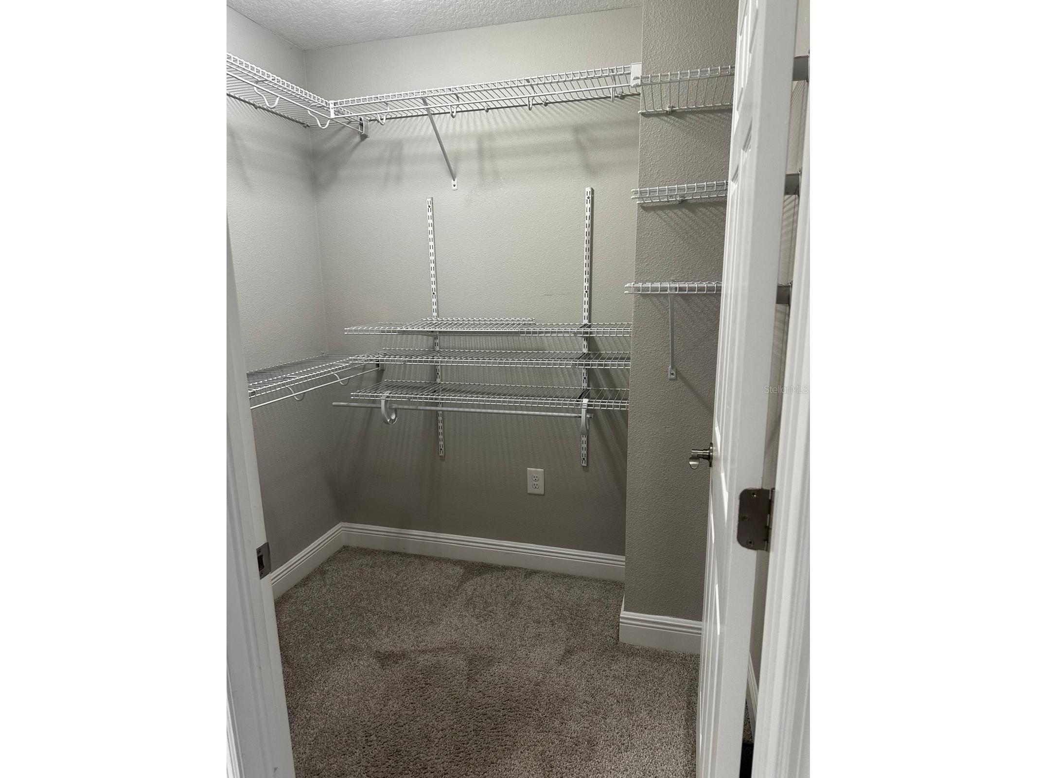 13023 Batten Lane Odessa FL 33556 TB8513830 image29