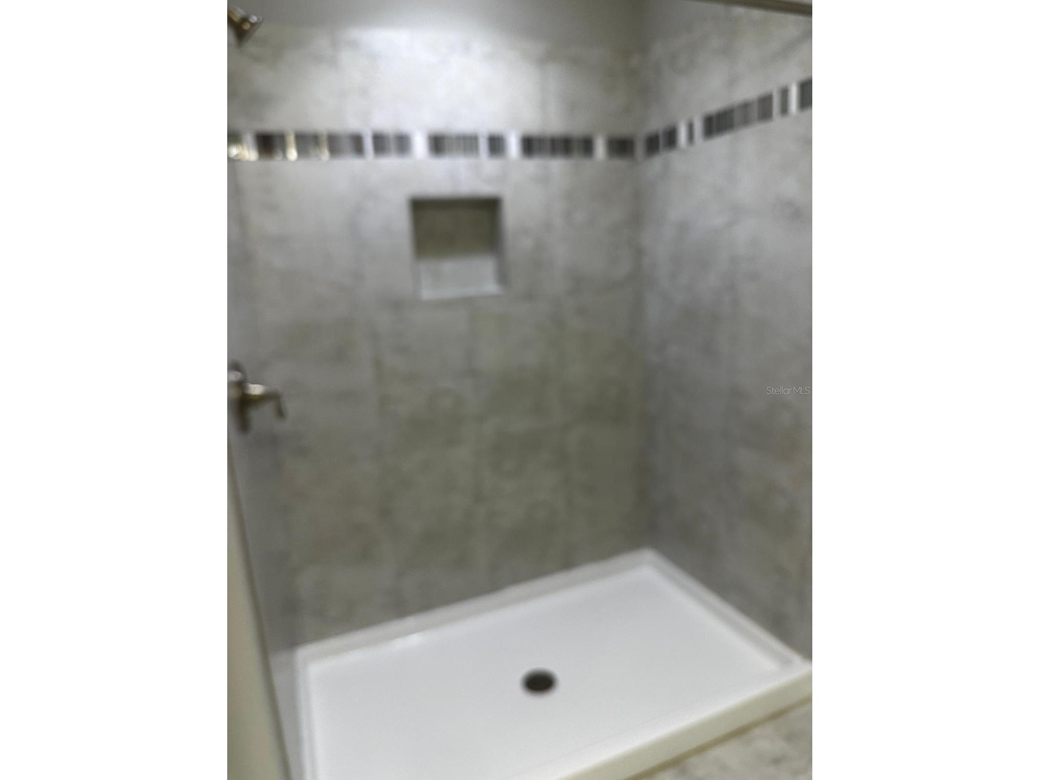 13023 Batten Lane Odessa FL 33556 TB8513830 image32
