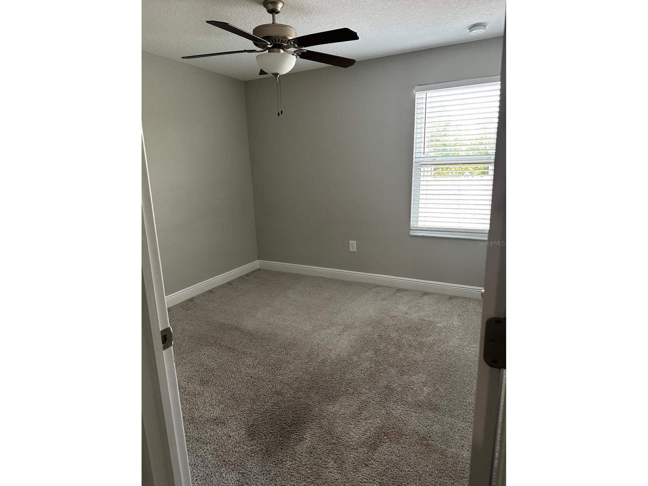 13023 Batten Lane Odessa FL 33556 TB8513830 image35