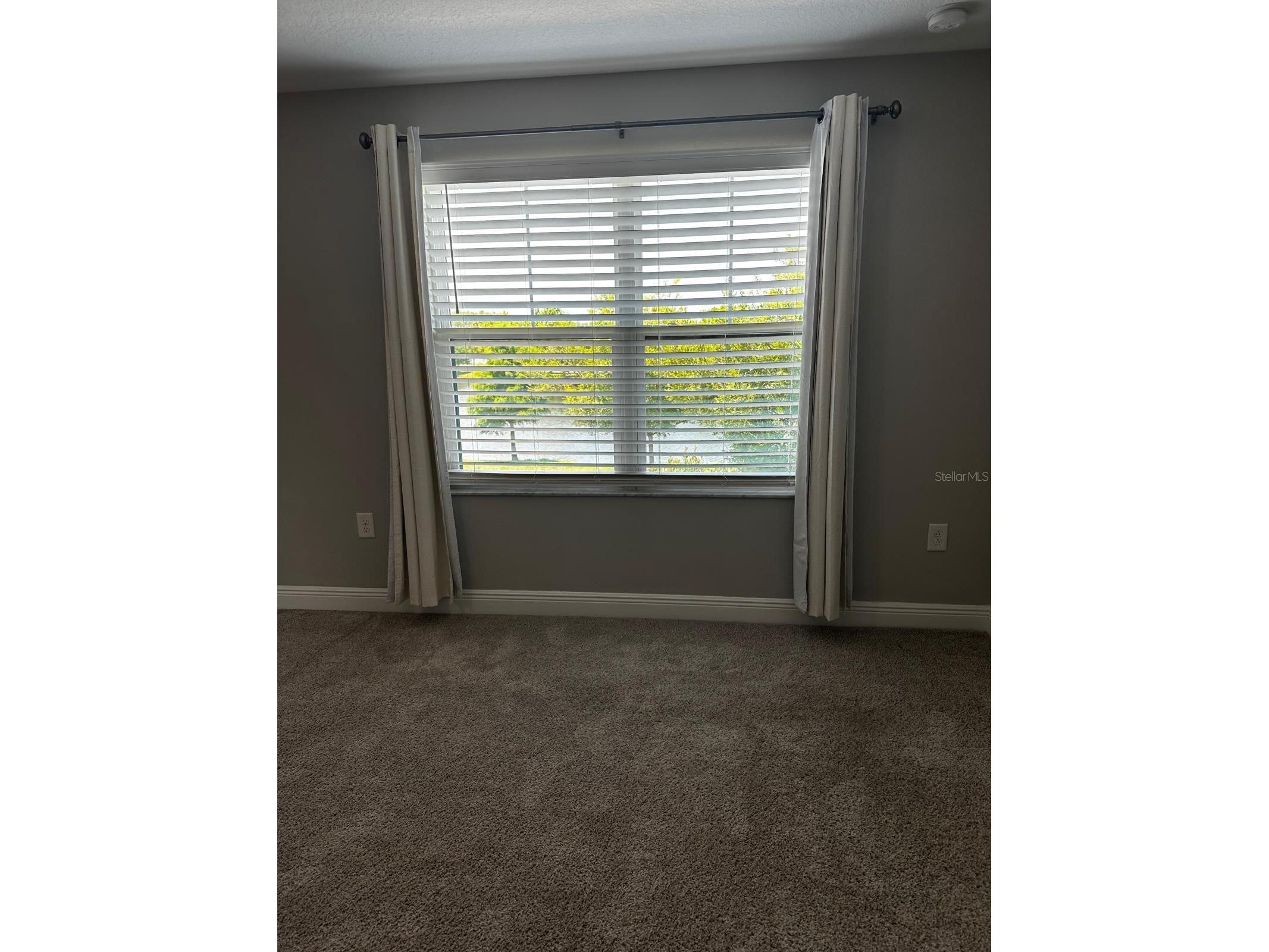 13023 Batten Lane Odessa FL 33556 TB8513830 image36