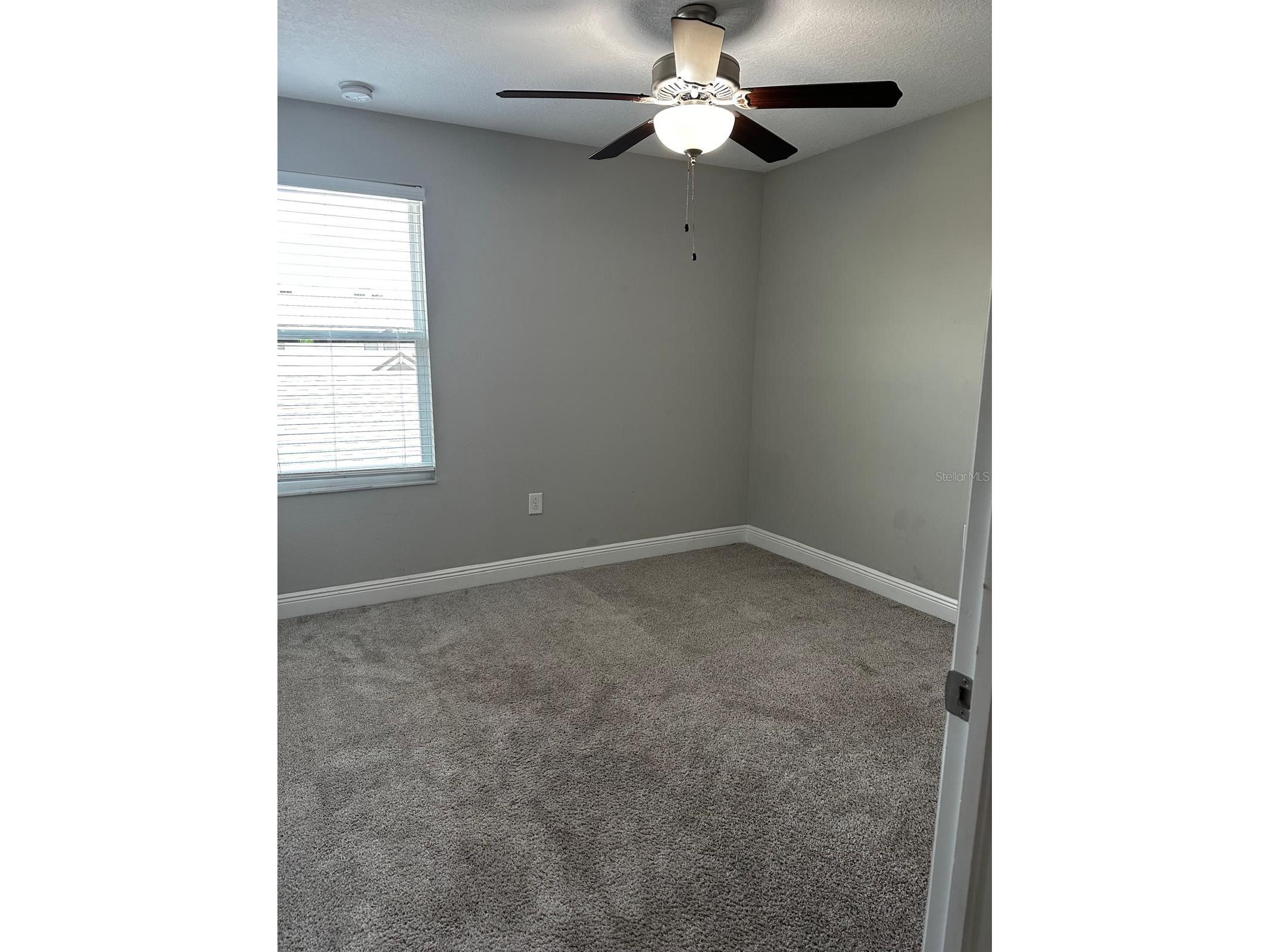 13023 Batten Lane Odessa FL 33556 TB8513830 image37