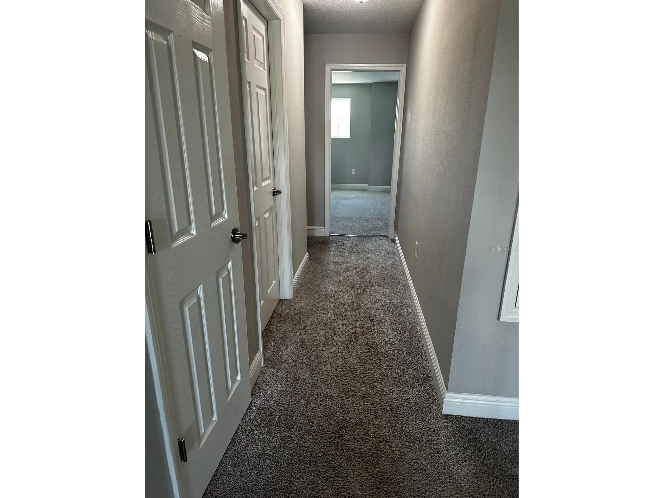 13023 Batten Lane Odessa FL 33556 TB8513830 image38