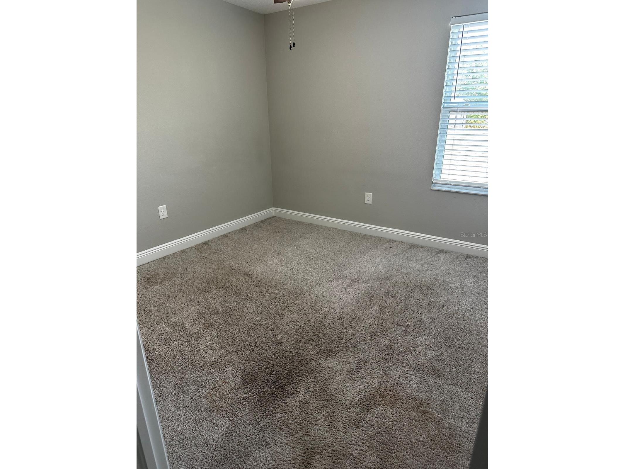 13023 Batten Lane Odessa FL 33556 TB8513830 image47
