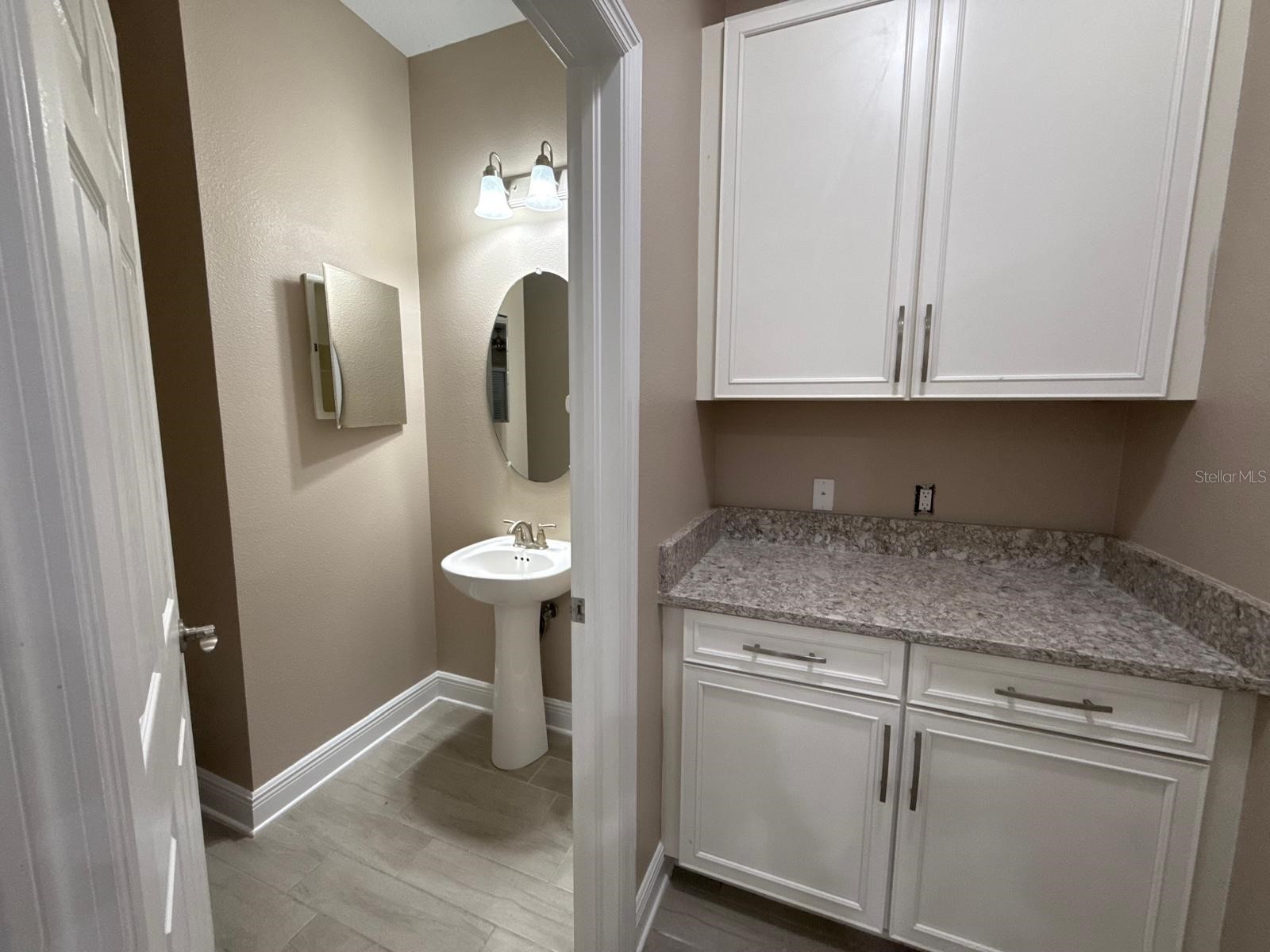 13023 Batten Lane Odessa FL 33556 TB8513830 image48