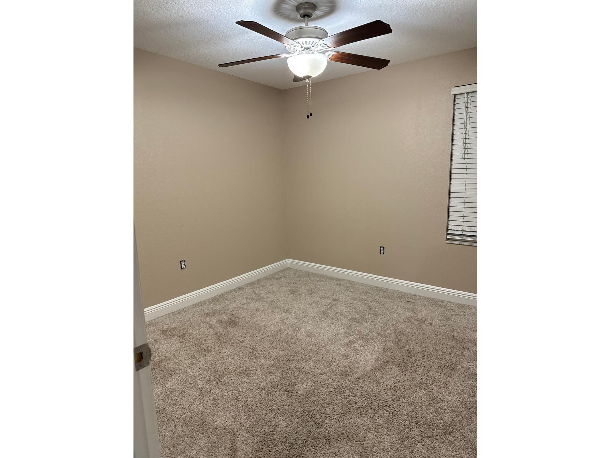 13023 Batten Lane Odessa FL 33556 TB8513830 image52