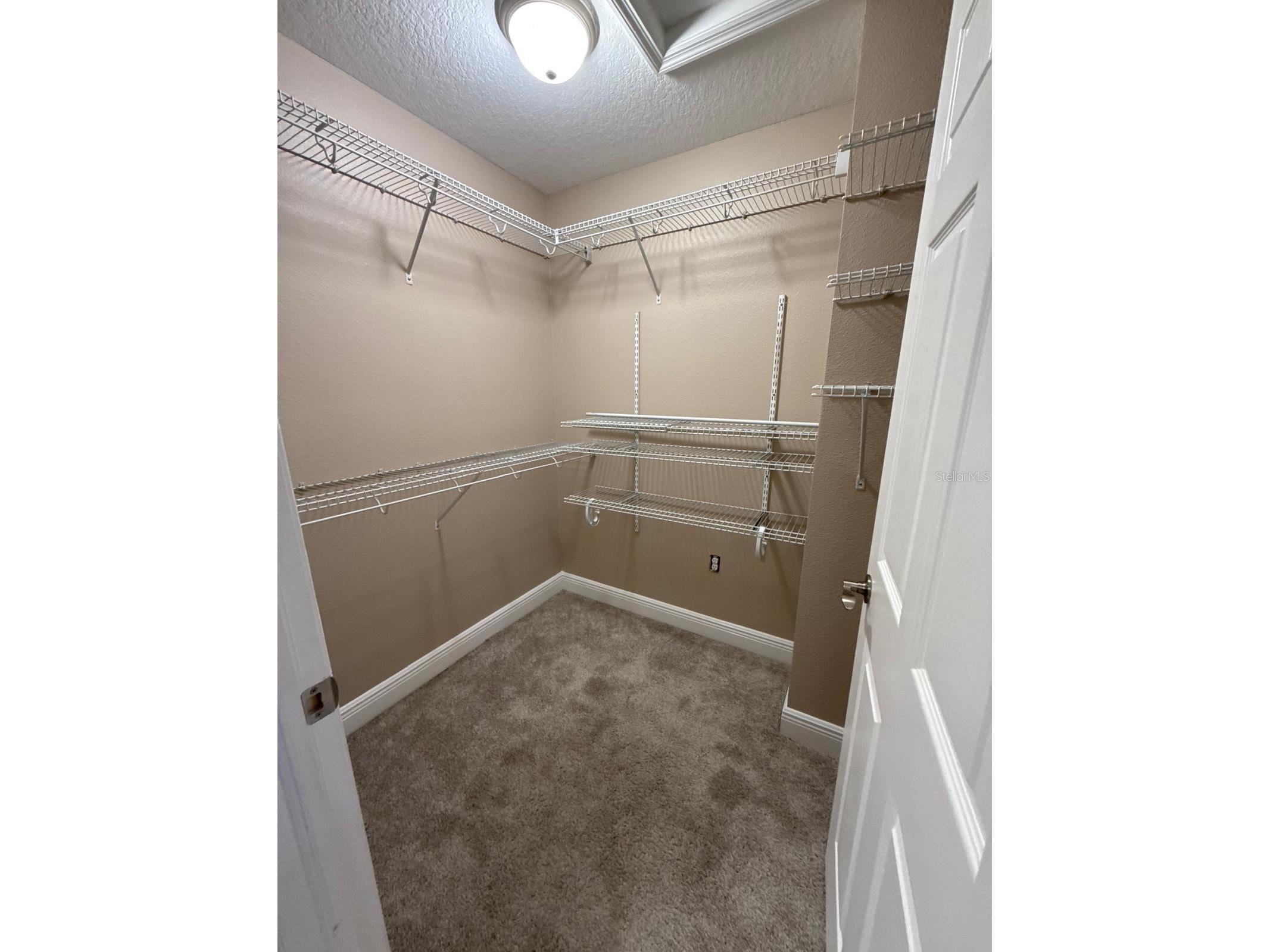 13023 Batten Lane Odessa FL 33556 TB8513830 image53