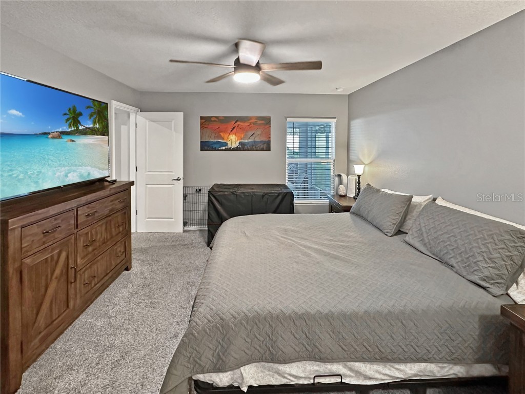 13023 Downy Woodpecker Road Weeki Wachee FL 34614 TB8423743 image21