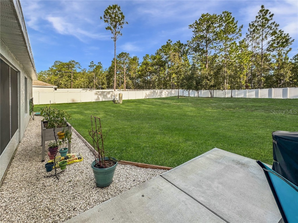 13023 Downy Woodpecker Road Weeki Wachee FL 34614 TB8423743 image34