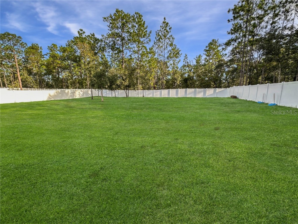 13023 Downy Woodpecker Road Weeki Wachee FL 34614 TB8423743 image37