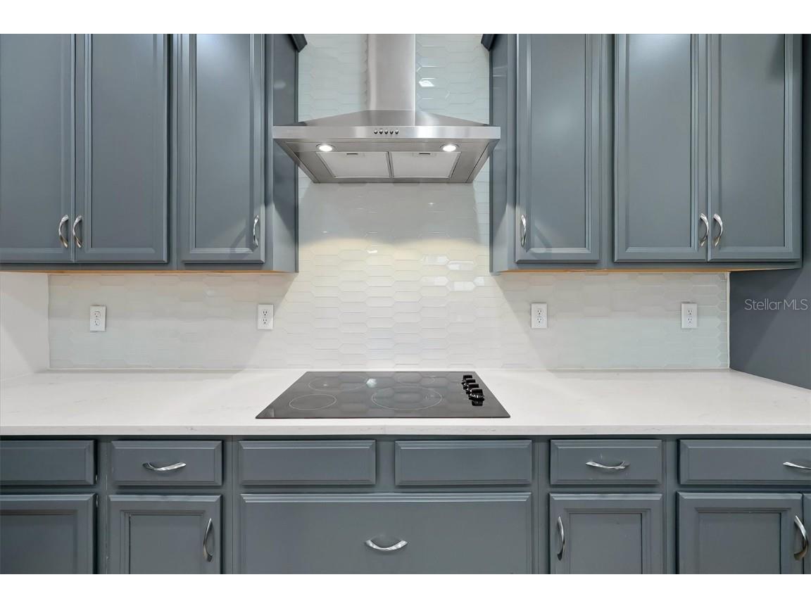 13024 Bottesford Drive Orlando FL 32832 O6356533 image10