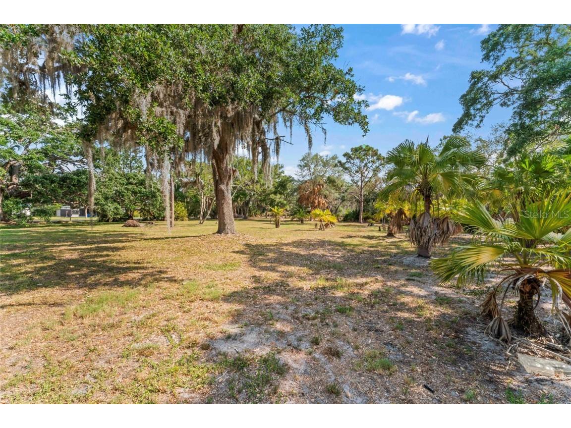 13025 Memorial Highway Tampa FL 33635 - DOUBLE BRANCH TB8384787 image19