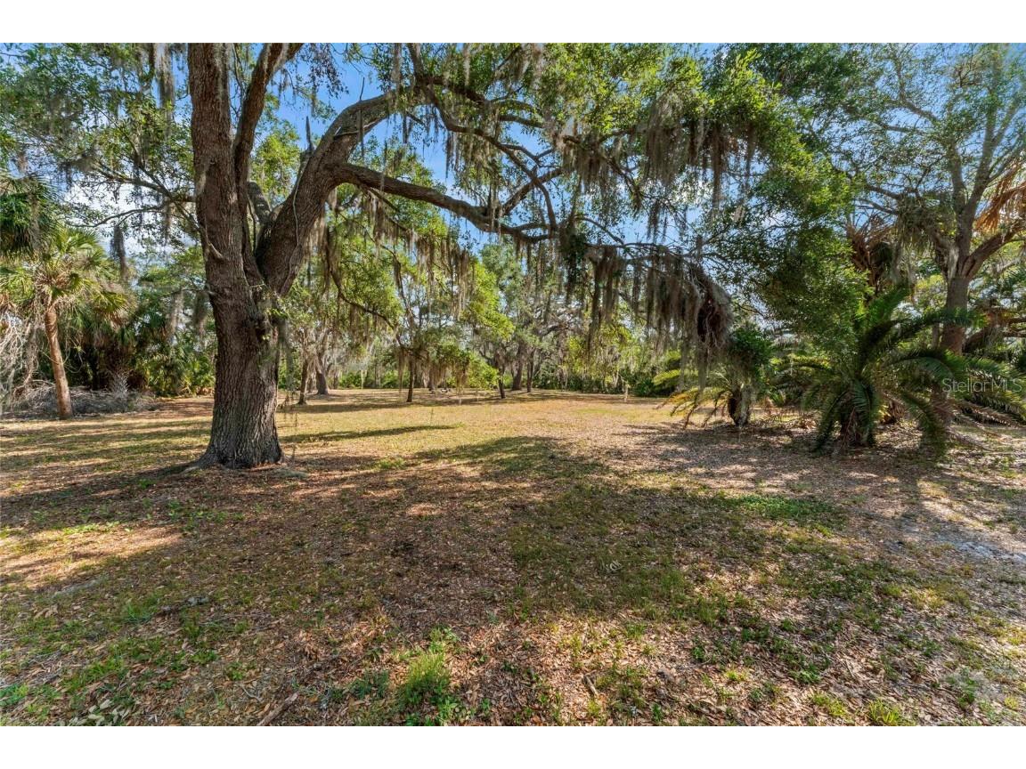 13025 Memorial Highway Tampa FL 33635 - DOUBLE BRANCH TB8384787 image21