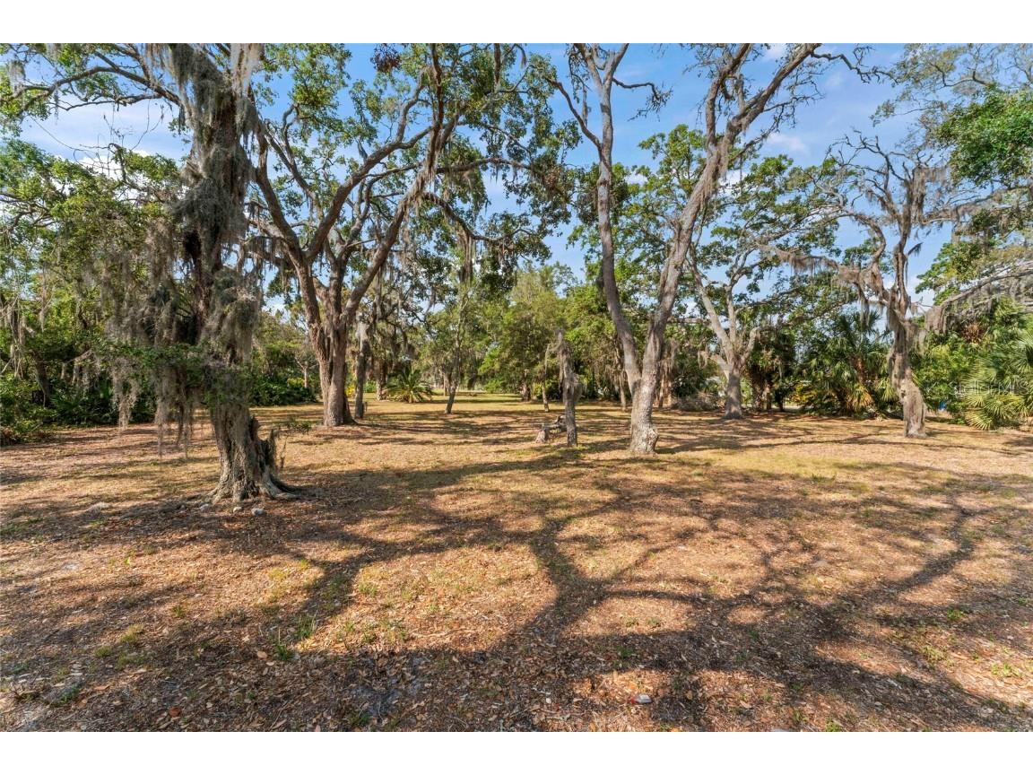 13025 Memorial Highway Tampa FL 33635 - DOUBLE BRANCH TB8384787 image23