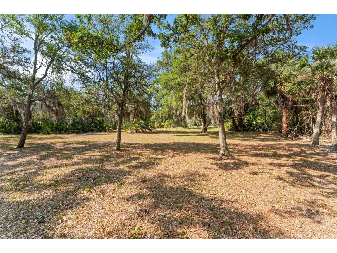 13025 Memorial Highway Tampa FL 33635 - DOUBLE BRANCH TB8384787 image24