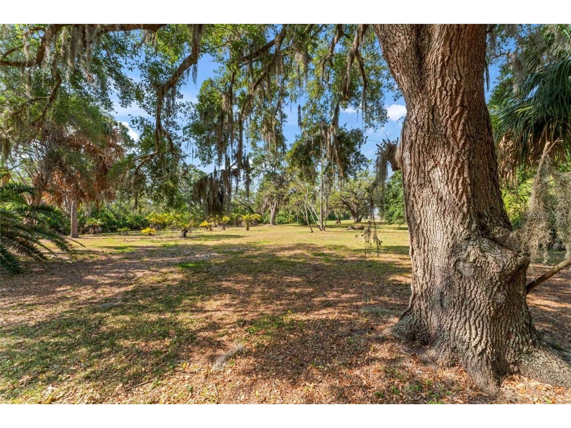 13025 Memorial Highway Tampa FL 33635 - DOUBLE BRANCH TB8384787 image25