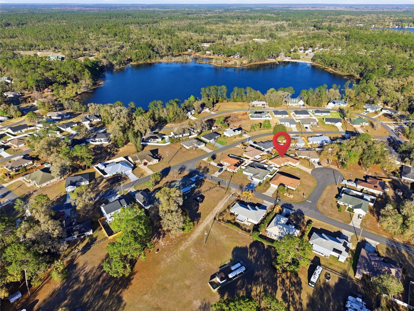 13025 NE 7th Lane Silver Springs FL 34488 OM720124 image39