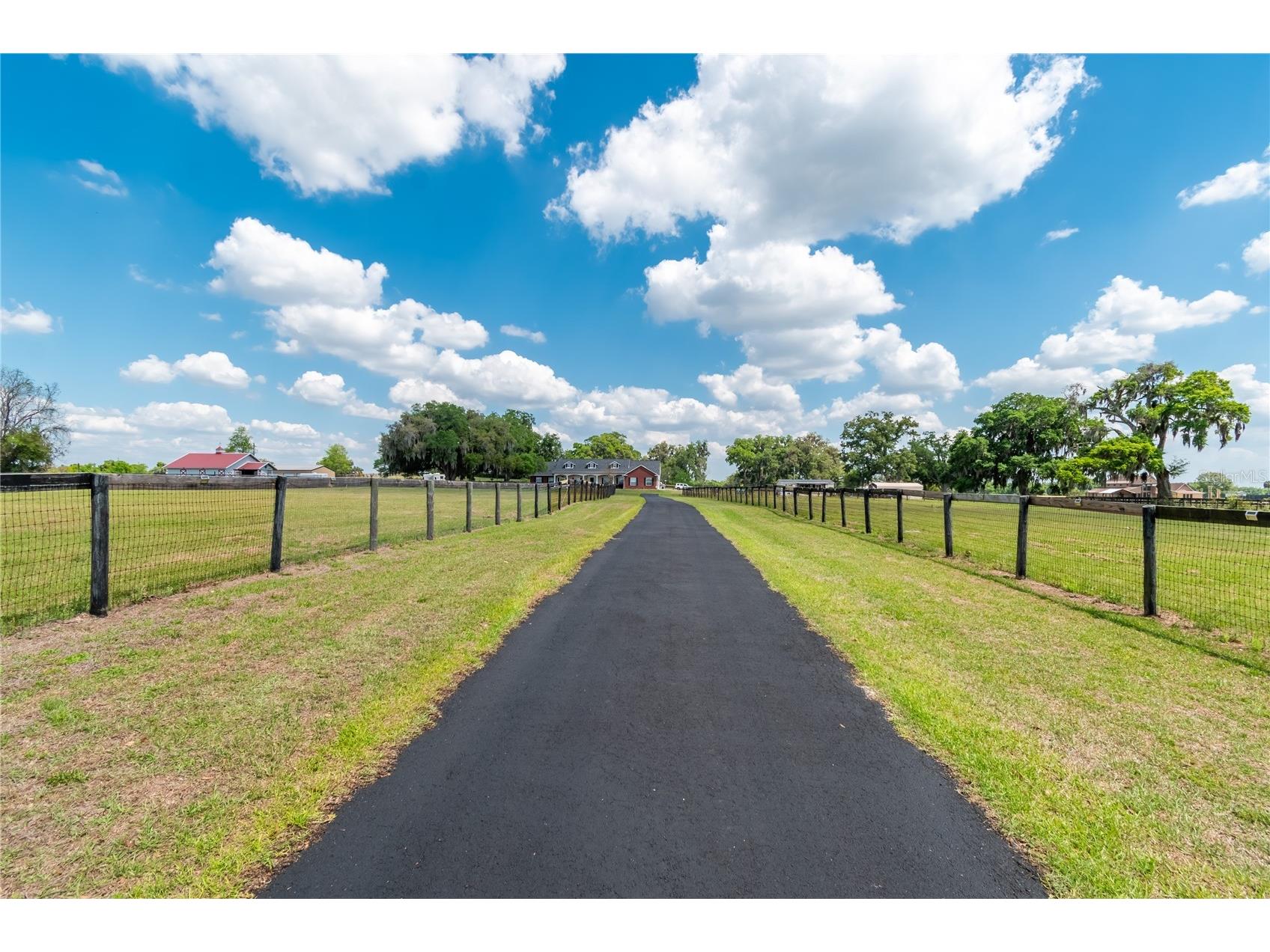 13025 NW Gainesville Road Reddick FL 32686 OM720462 image4