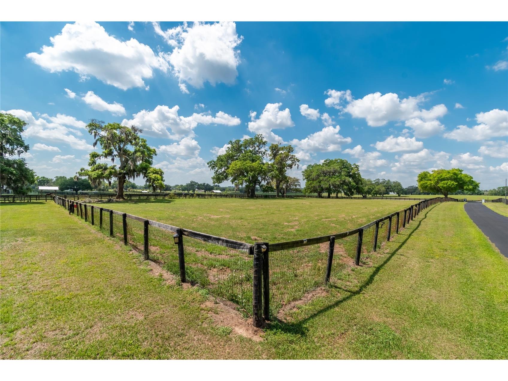 13025 NW Gainesville Road Reddick FL 32686 OM720462 image61
