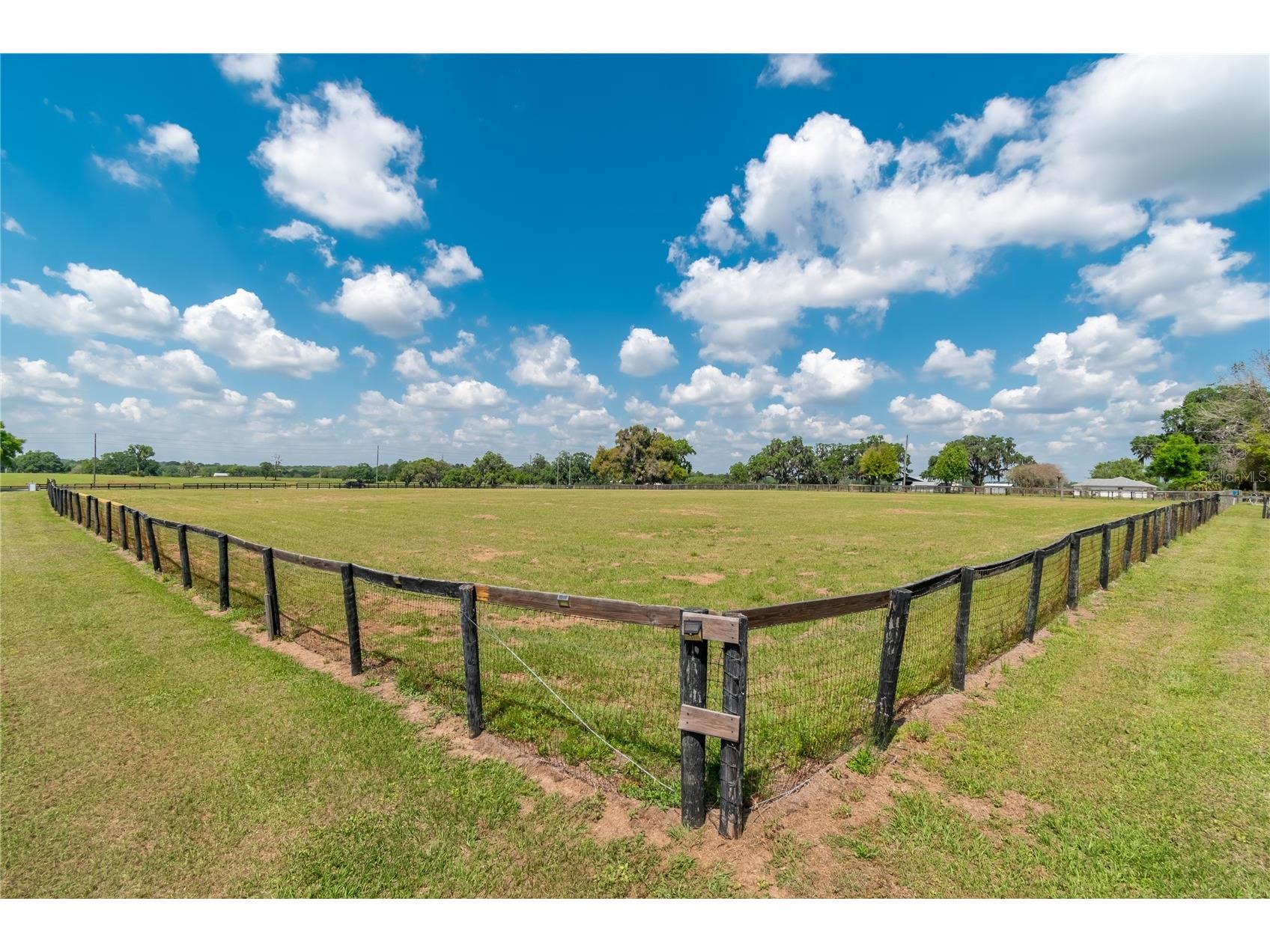 13025 NW Gainesville Road Reddick FL 32686 OM720462 image62