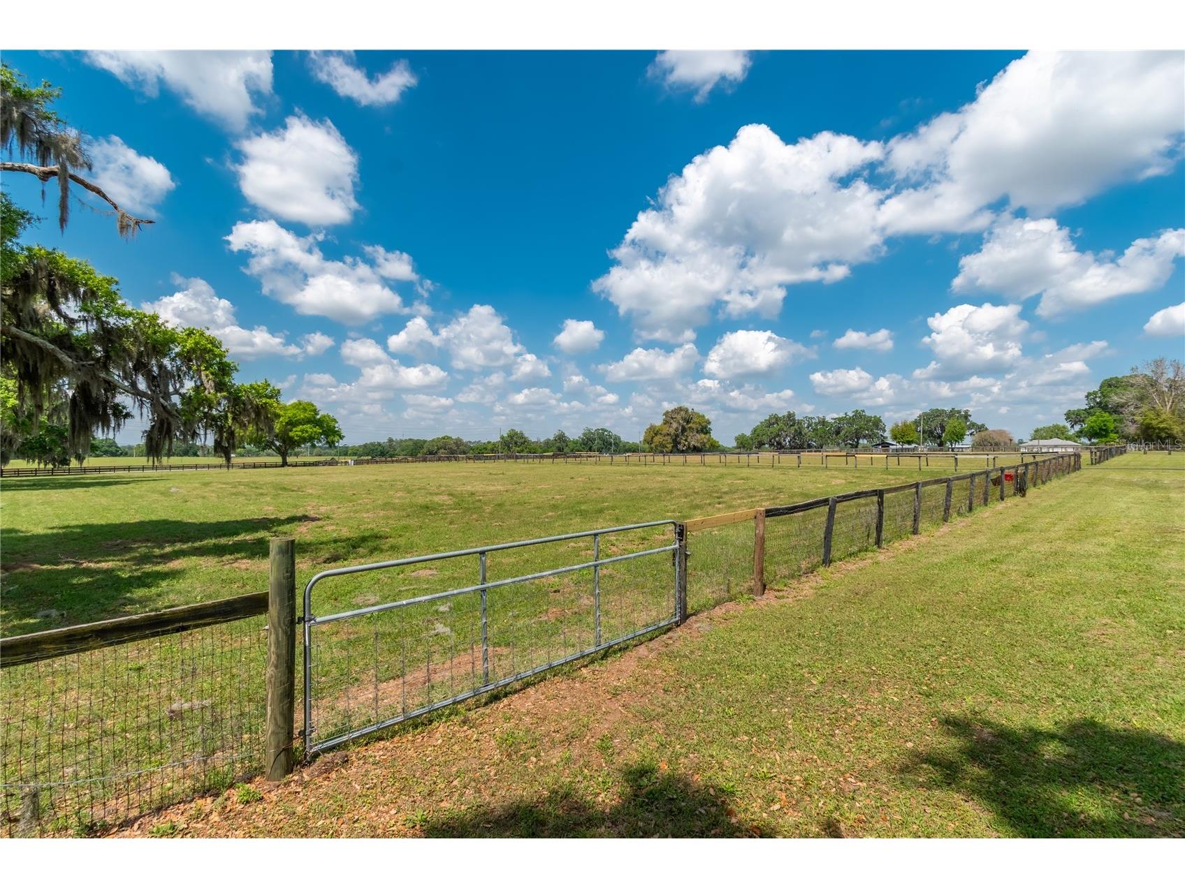 13025 NW Gainesville Road Reddick FL 32686 OM720462 image63