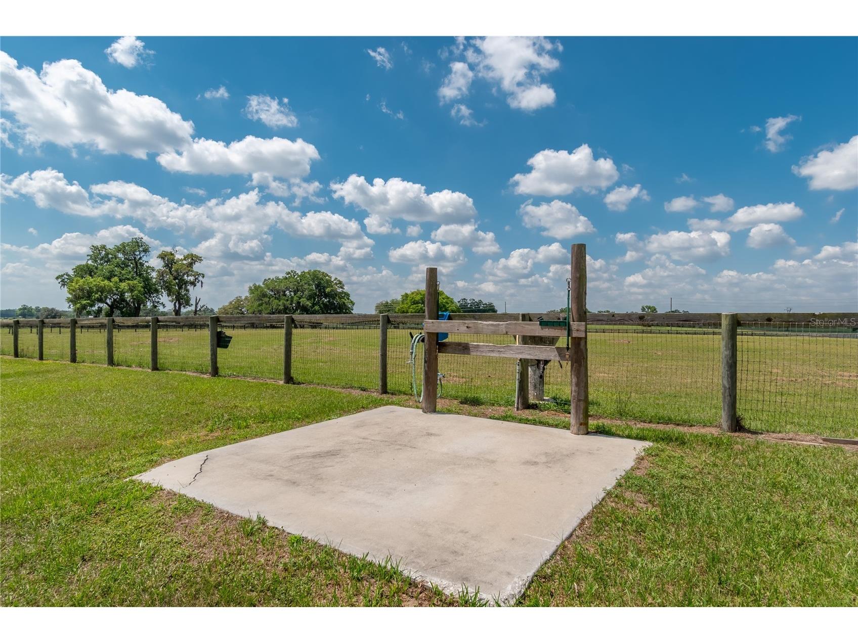 13025 NW Gainesville Road Reddick FL 32686 OM720462 image86