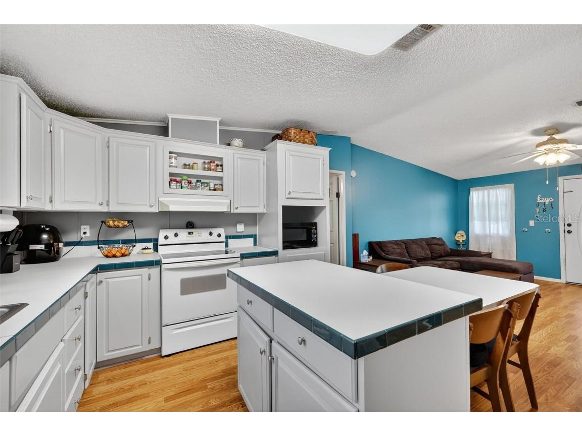 13025 Plum Lake Minneola FL 34715 G5101142 image8