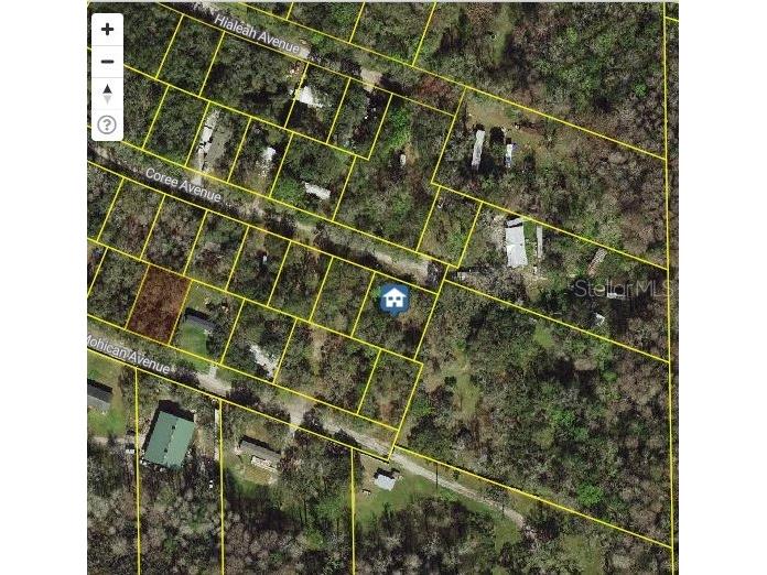 13026 Coree Avenue New Port Richey FL 34654 W7869232 image1