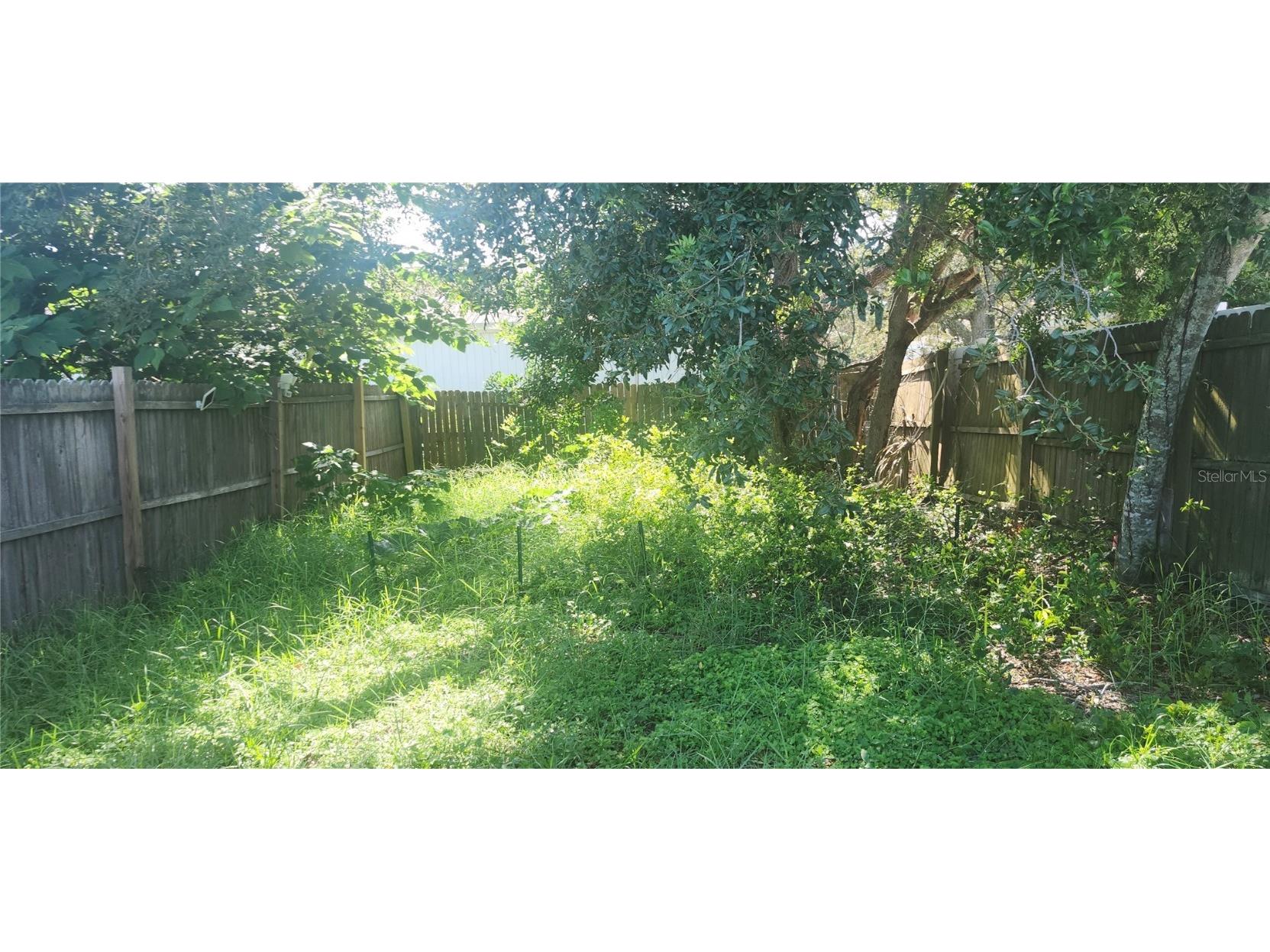 13026 Dania Street Hudson FL 34667 W7877452 image13