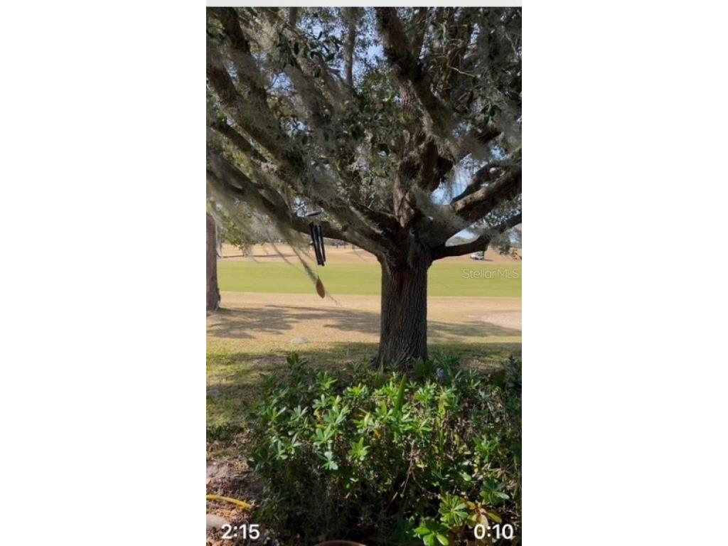 13026 SE 97th Terrace Road Summerfield FL 34491 A4673406 image4