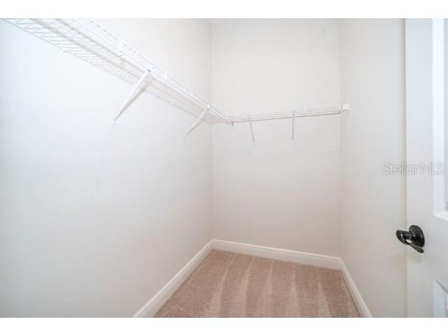 13026 Stoddart Avenue Orlando FL 32827 S5143126 image27