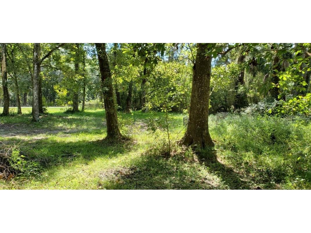 13026 SW Williston Road Micanopy FL 32667 GC503518 image1