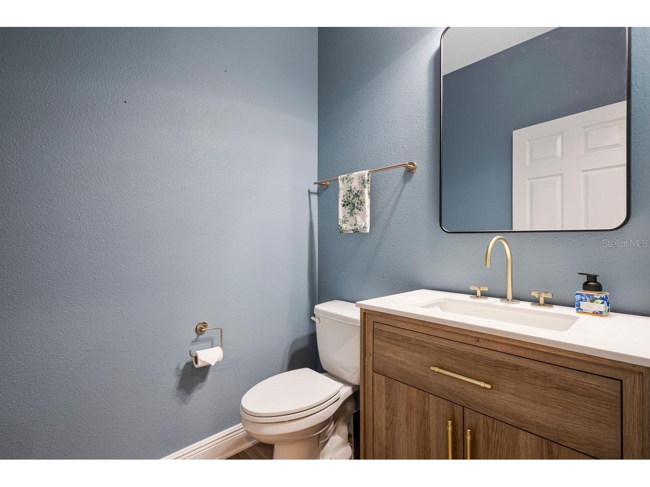 13027 Batten Lane Odessa FL 33556 TB8516341 image28