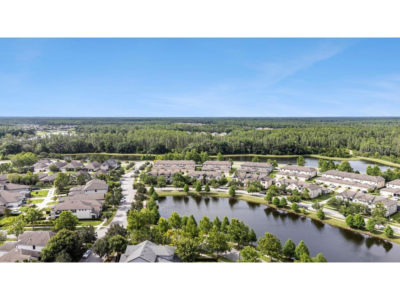 13027 Batten Lane Odessa FL 33556 TB8516341 image43