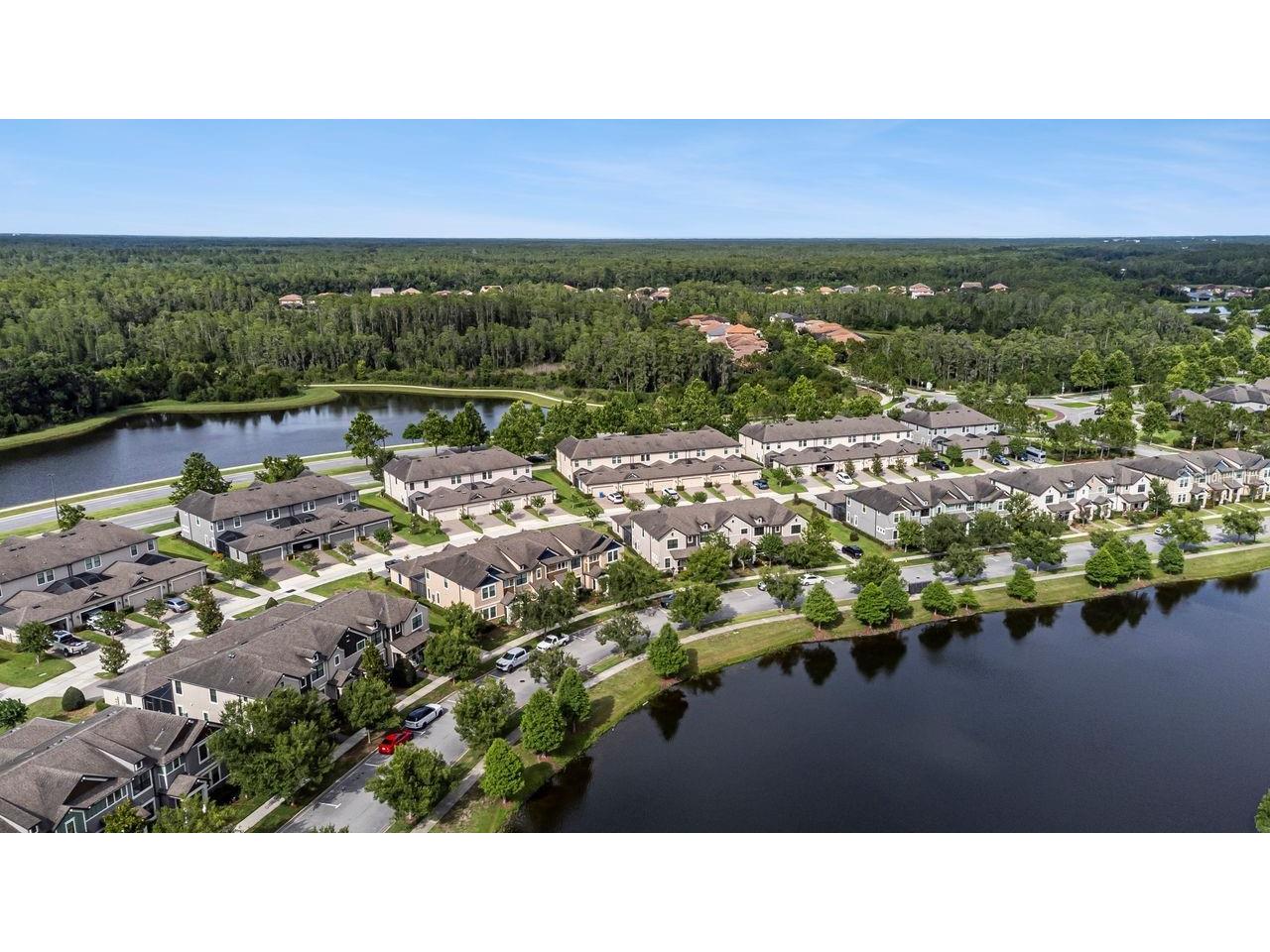 13027 Batten Lane Odessa FL 33556 TB8516341 image47