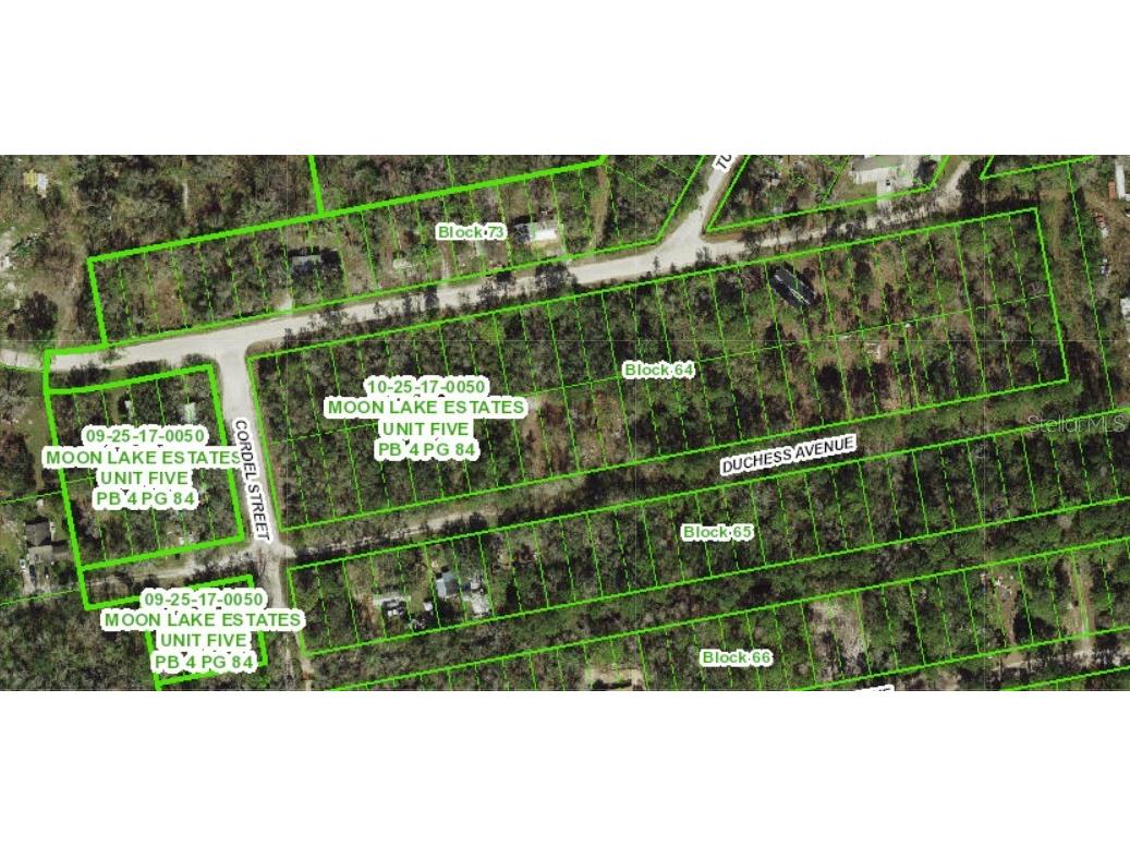 13027 Duchess Avenue New Port Richey FL 34654 W7879022 image1