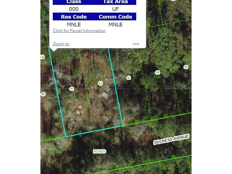 13027 Duchess Avenue New Port Richey FL 34654 W7879022 image2