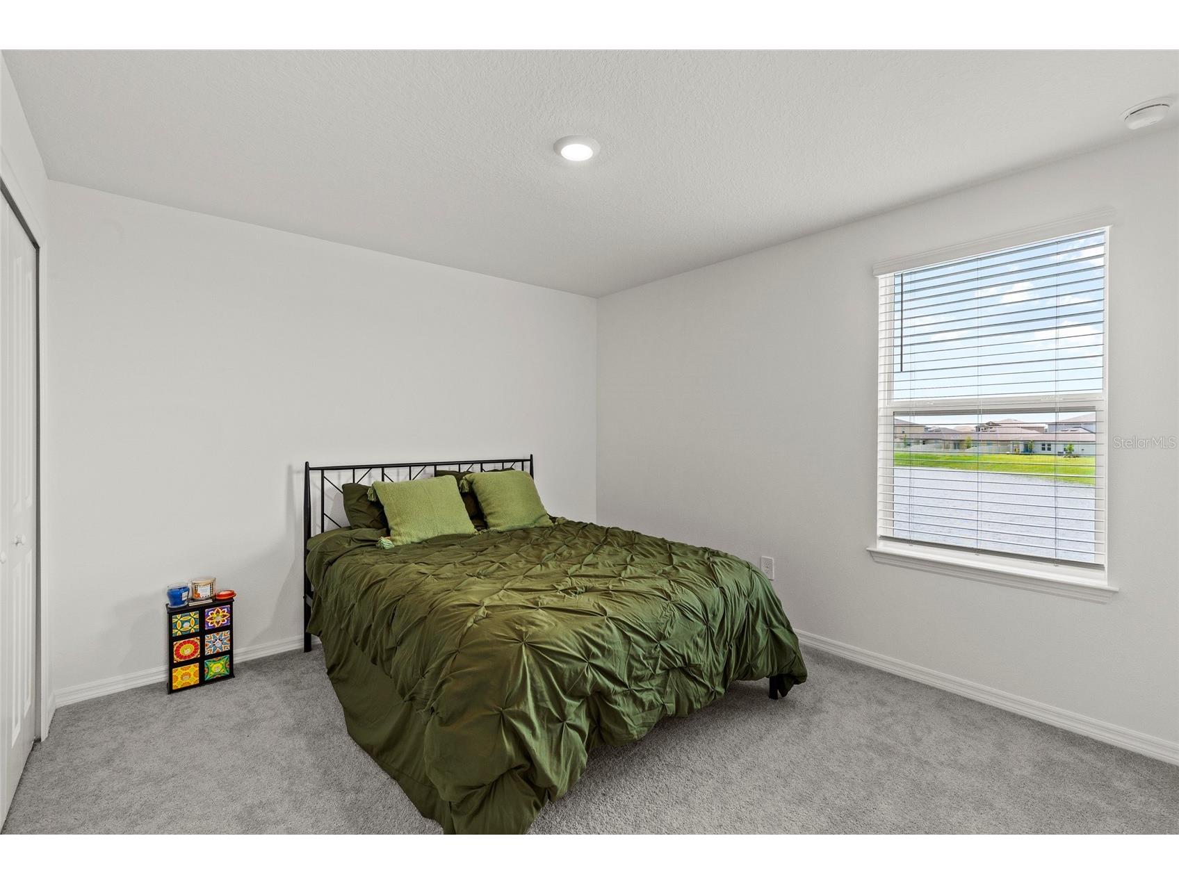 13029 Empress Jewel Trail Parrish FL 34219 A4694988 image37