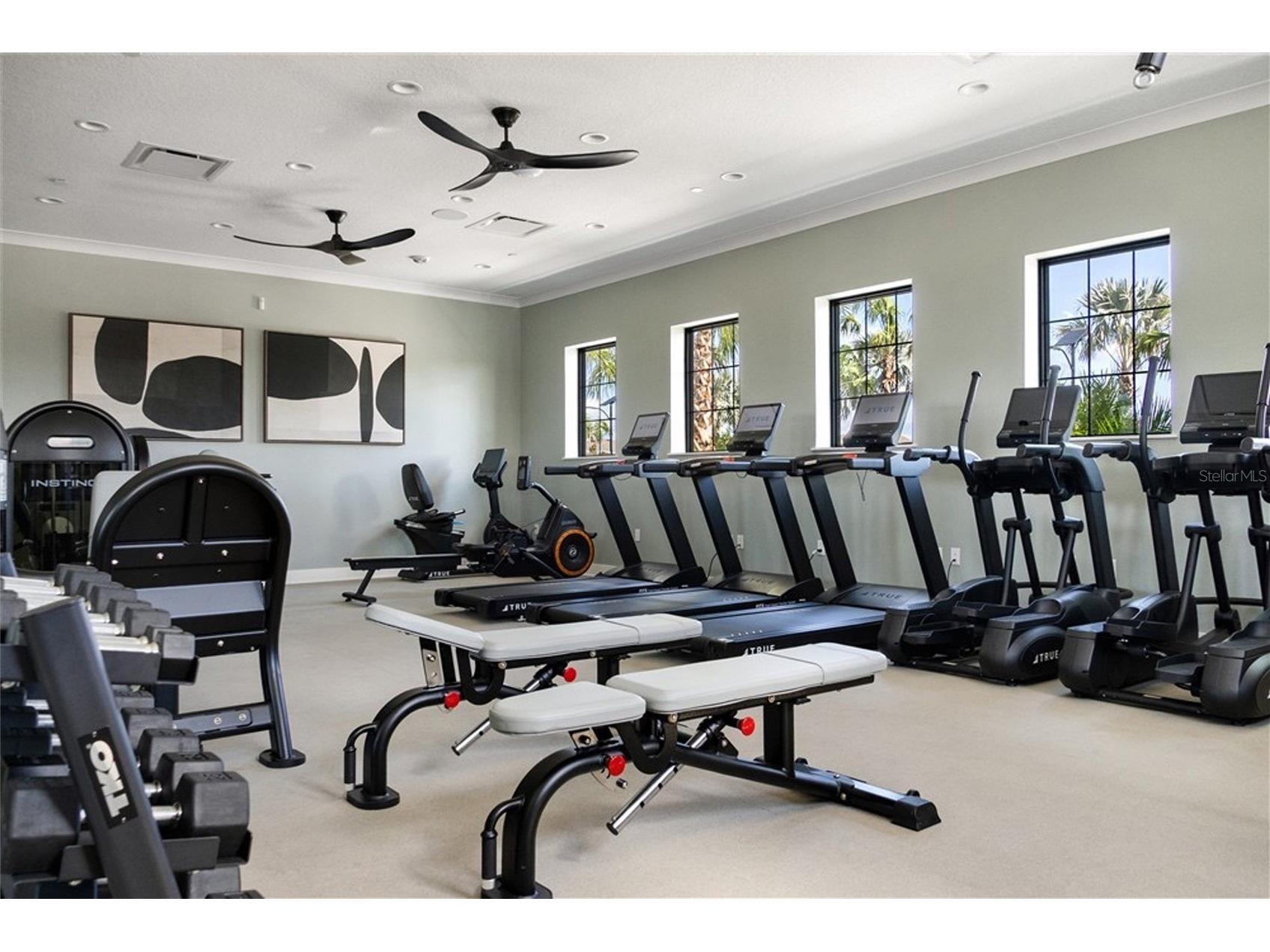 13029 Empress Jewel Trail Parrish FL 34219 A4694988 image69
