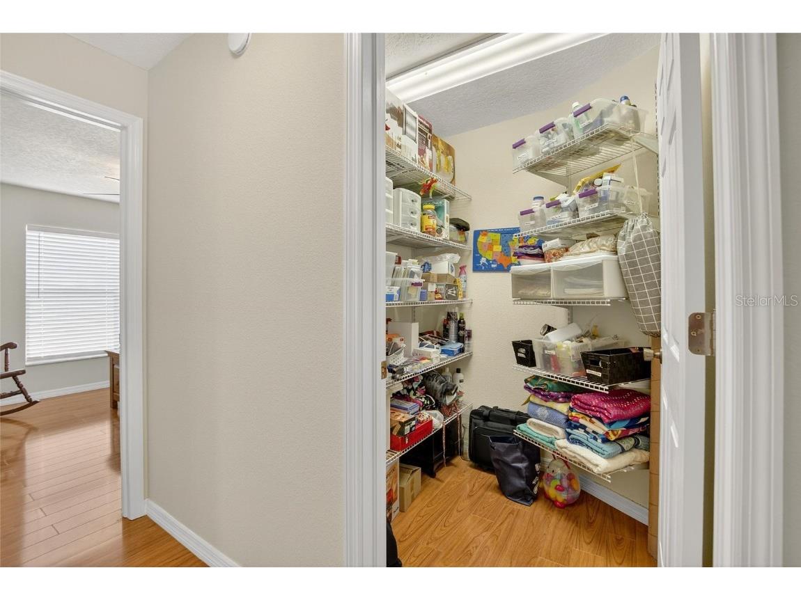 13029 Prestwick Drive Riverview FL 33579 TB8424549 image34