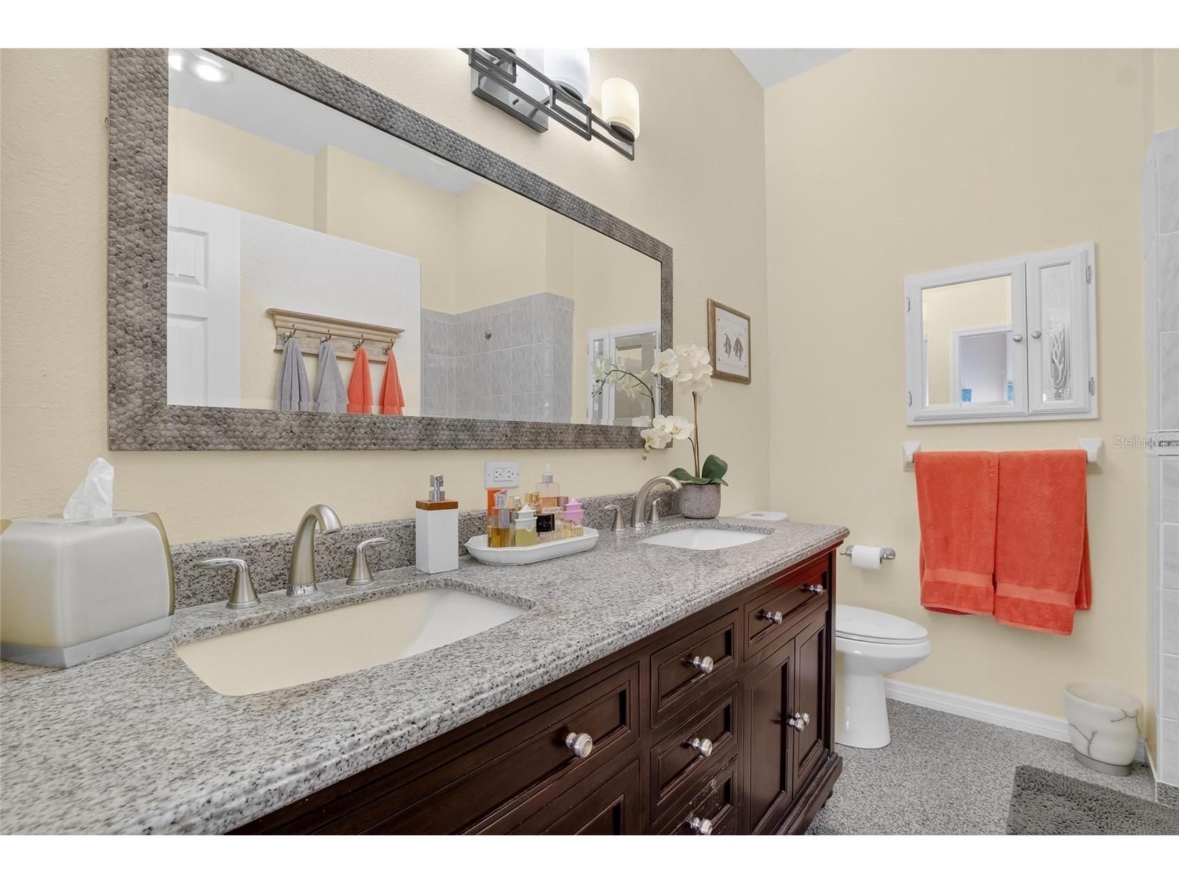 13029 Prestwick Drive Riverview FL 33579 TB8504447 image30