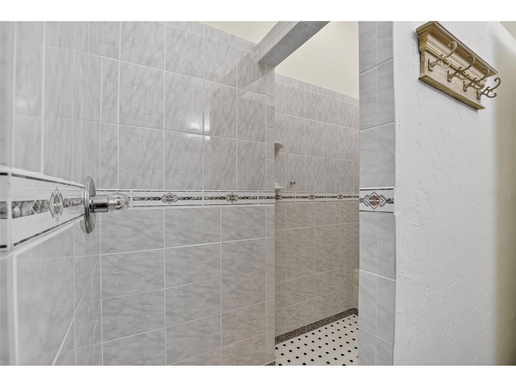 13029 Prestwick Drive Riverview FL 33579 TB8504447 image32