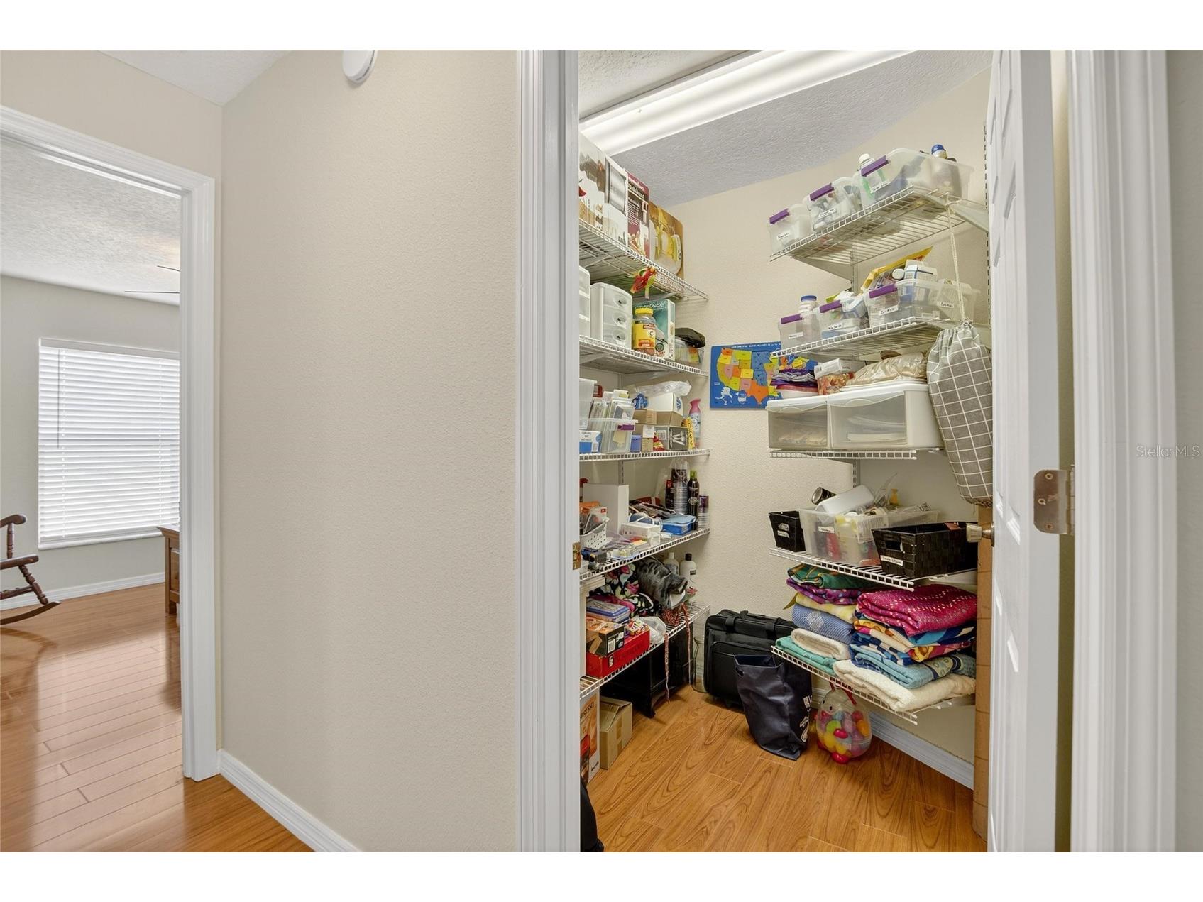 13029 Prestwick Drive Riverview FL 33579 TB8504447 image33