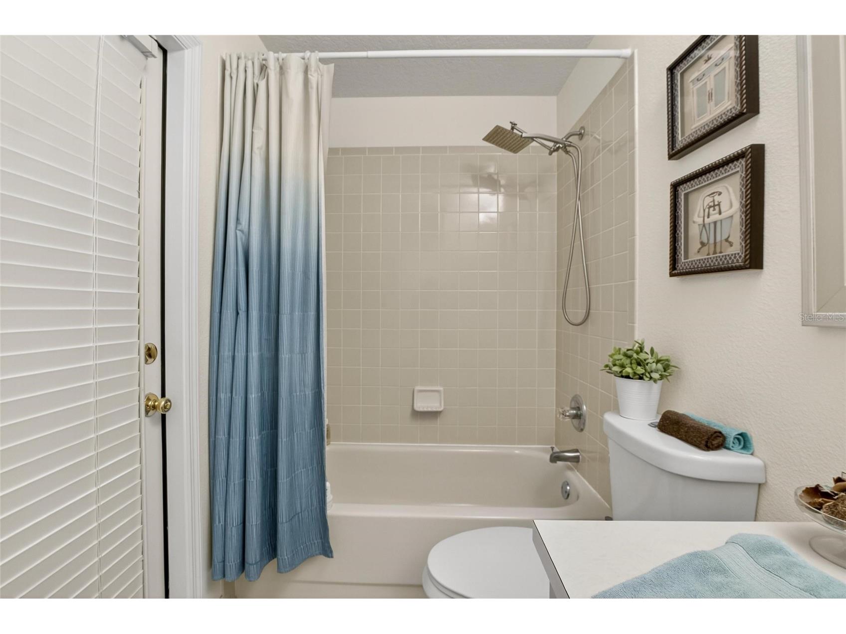 13029 Prestwick Drive Riverview FL 33579 TB8504447 image39
