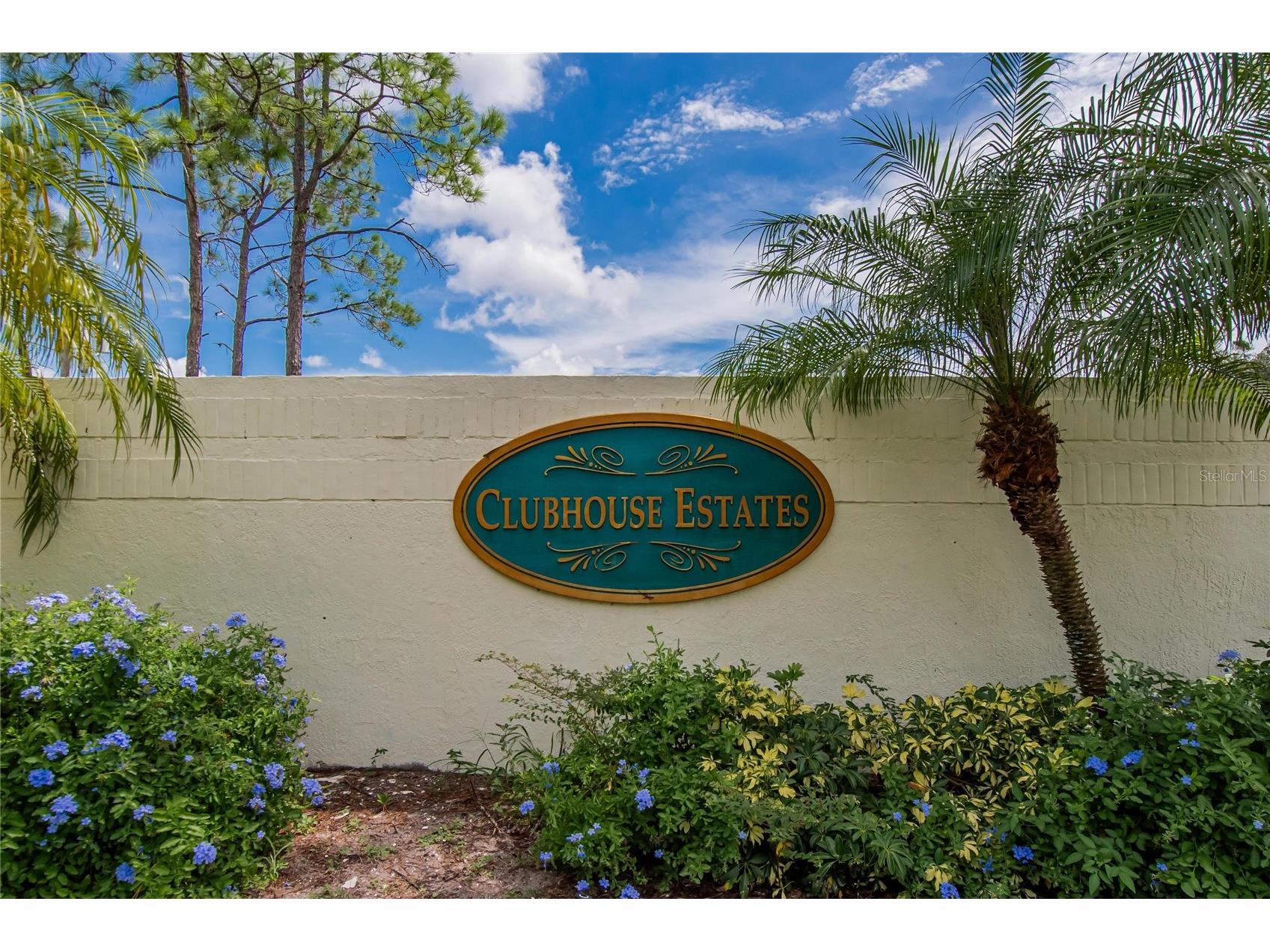 13029 Prestwick Drive Riverview FL 33579 TB8504447 image64