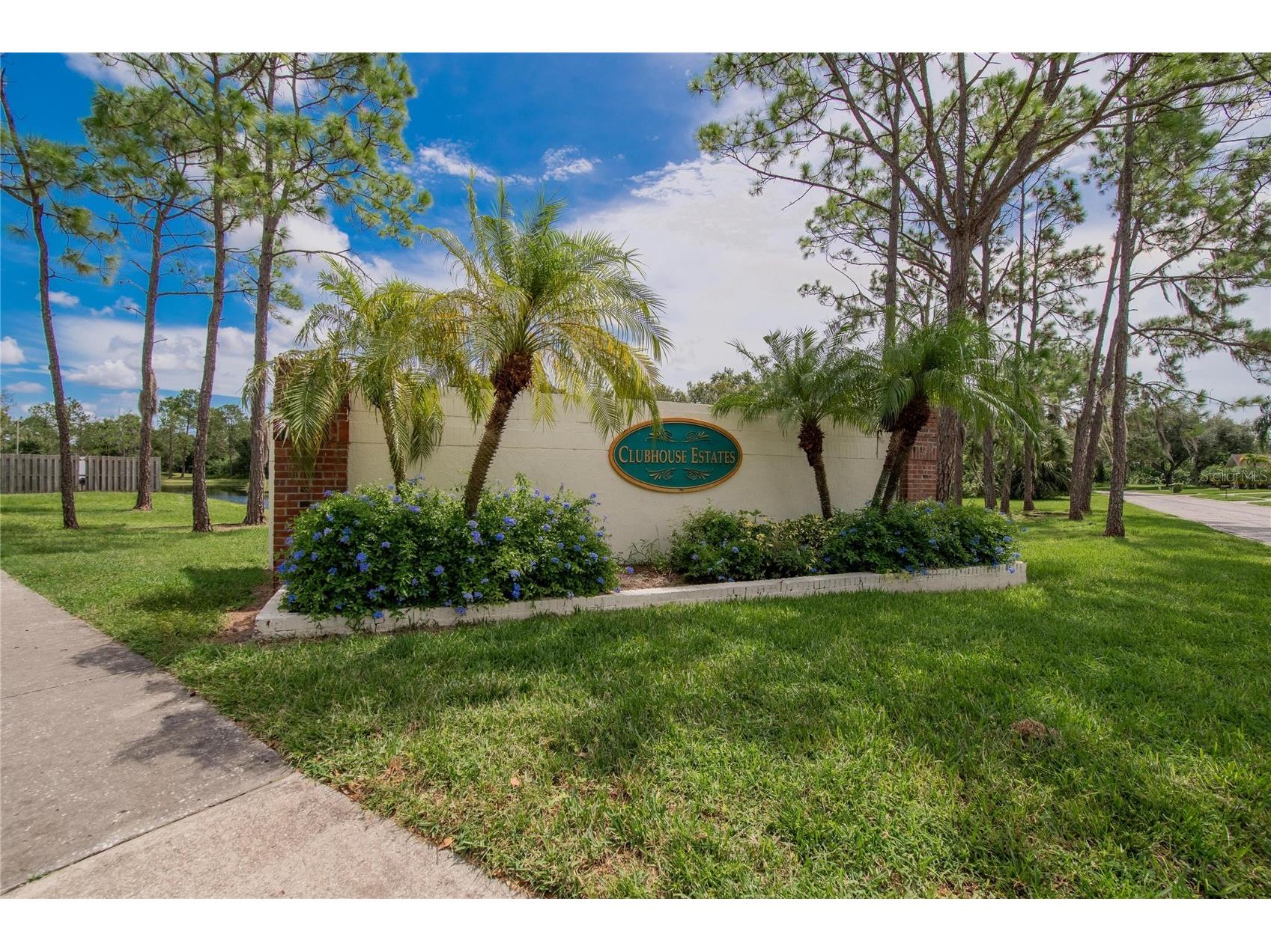 13029 Prestwick Drive Riverview FL 33579 TB8504447 image65