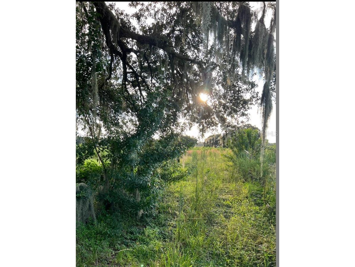 13029 S County Road 39 Lithia FL 33547 TB8470802 image2